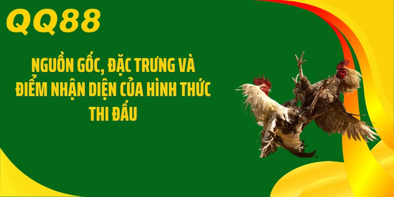 Nguồn gốc, đặc trưng và điểm nhận diện của hình thức thi đấu